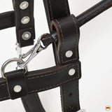 HILASON Guide Dog Harness Brown Padded Genuine Leather with Handle | Adjustable Straps for Training Breathable Therapy