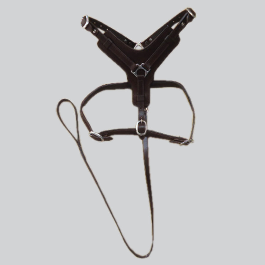 Sml Hilason Western Padded Dog Harness Genuine Leather Stainless Steel Black