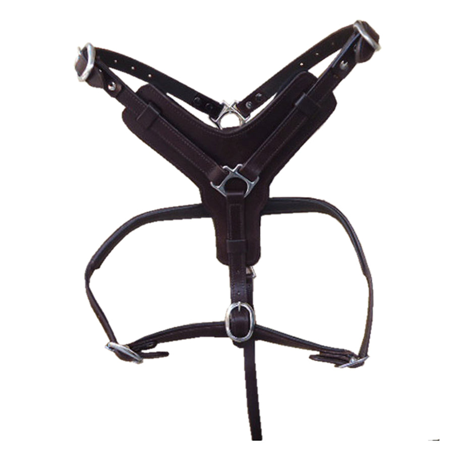 Sml Hilason Western Padded Dog Harness Genuine Leather Stainless Steel Black - Uhorse