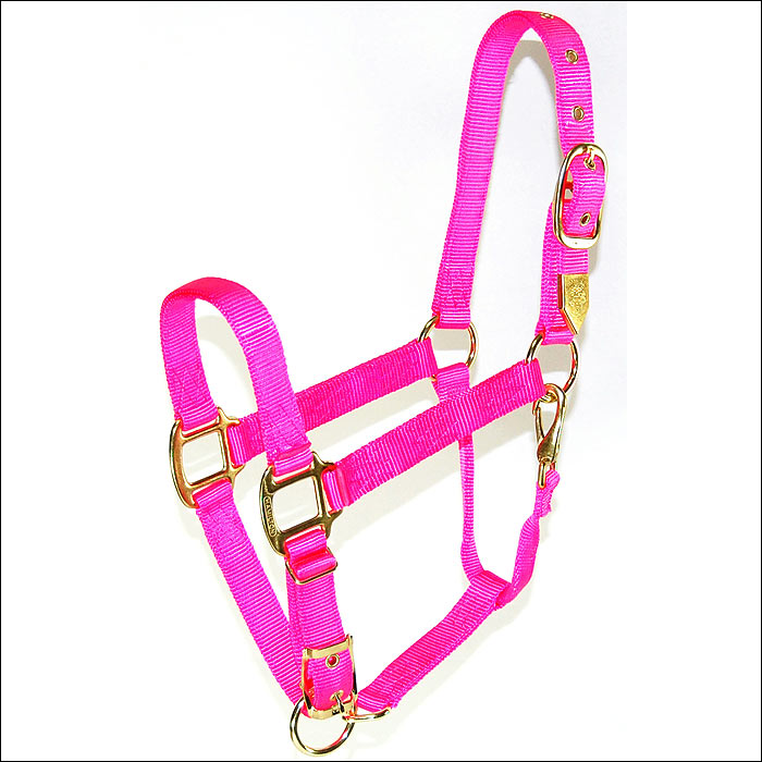 Large 1" Nylon H. Adjustable Chin Halter With Snap By Hamilton by Hilason – Cowboy and equestrian accessories