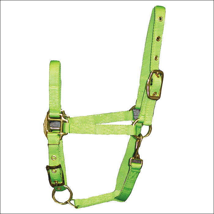 S76 3/4 Inch Weanling H. Adjustable Chin Halter Snap By Hamilton by Hilason – Cowboy and equestrian accessories