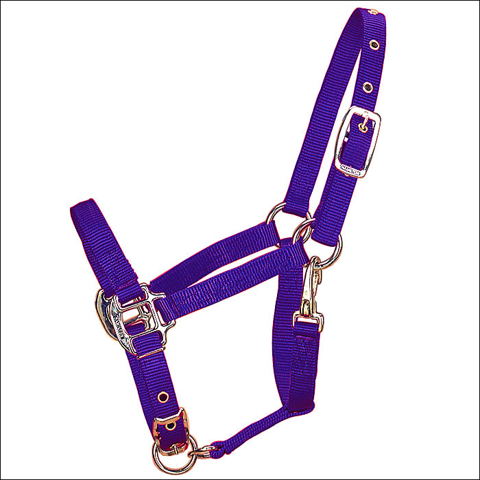Purple nylon horse halter with gold hardware - Uhorse
