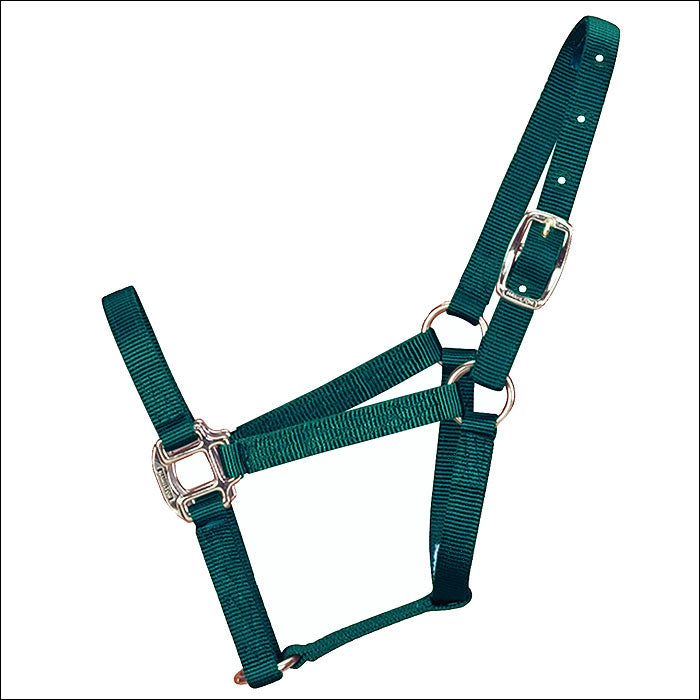 3/4" Weanling Quality Nylon H. Halter Hamilton Products Usa Dark Green by Hilason – Cowboy and equestrian accessories