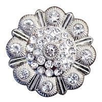 Western Screw Back Concho Clear Berry Saddle Headstall Tack Bling Cowgirl - Uhorse