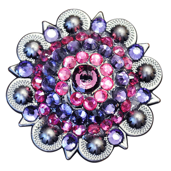 HILASON Western Screw Back Pink and Purple Rhinestone Crystal Bling Berry Concho - Uhorse