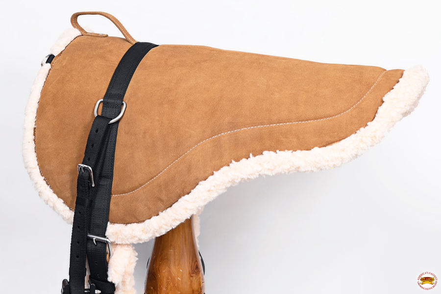 HILASON Western Regular Size Bareback Pad | Breast Collar and Girth Saddle Pads Baretek Riding for Horses