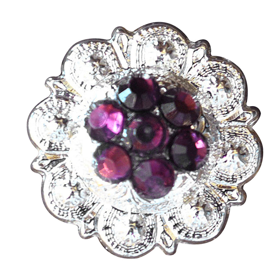 Western Screw Back Concho Crystal Amethyst Berry Saddle Bling Cowgirl - Uhorse