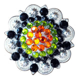 16 Pcs 2 In W. Nickel Plt. Rhinestone Berry Concho Hilason Bling – by Hilason – Cowboy and equestrian accessories