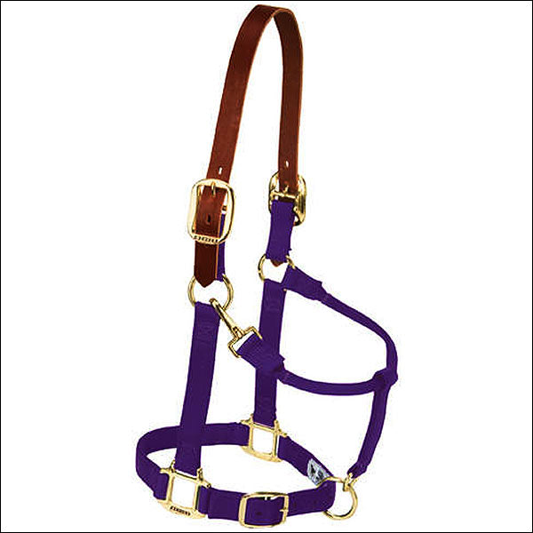 Yearling Breakaway Original Chin Throat Snap Horse Halter Purple - Uhorse