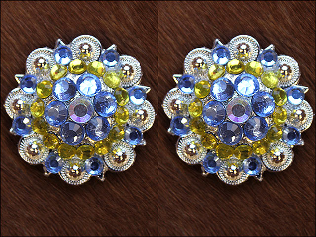 HILASON Western Berry Conchos Glass Rhinestones Bling Tack Cowgirl | Bridle Concho Belt Slotted