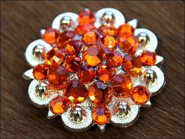 HILASON Western Berry Conchos Glass Rhinestones Bling Tack Cowgirl Capri Red Color | Bridle Slotted