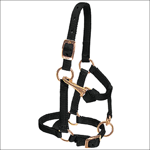 Weaver Black Nylon Miniature Horse Adjustable Chin And Throat Snap Halter