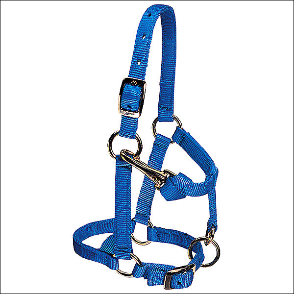 Blue Nylon Miniature Horse Adjustable Chin And Throat Snap Halter Average - Uhorse
