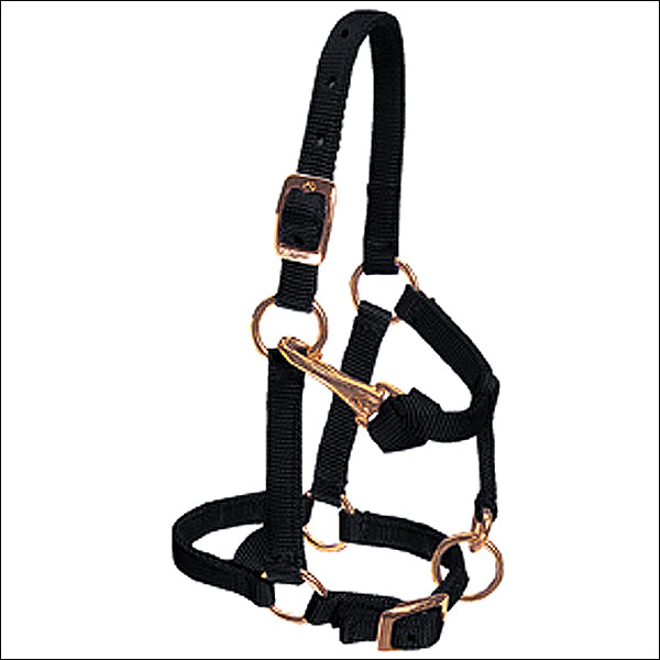 Weaver Black Large Nylon Miniature Horse Adjustable Chin Throat Snap Halter