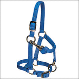 Weaver Blue Large Nylon Miniature Horse Adjustable Chin Throat Snap Halter