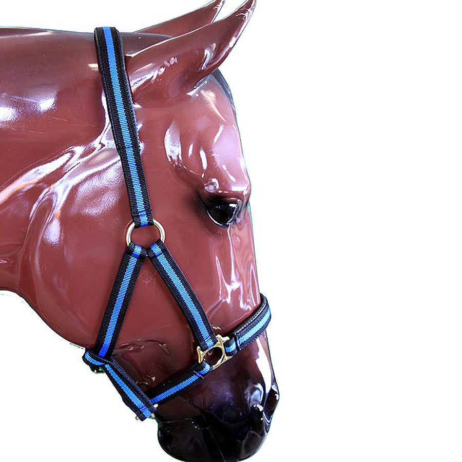 Blue Padded Adjustable Snap Horse Halter 1" Large Draft - Uhorse