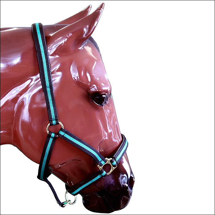 Green Padded Adjustable Chin And Throat Snap Halter Average Horse - Uhorse