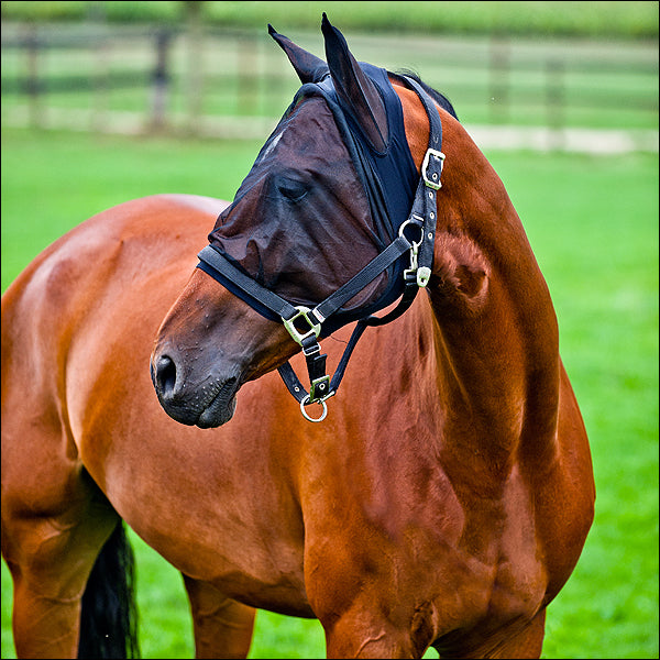 Pony Horze Horse Soft Lycra Fabric Fleece Lined Mesh Fly Mask With Spandex Black - Uhorse