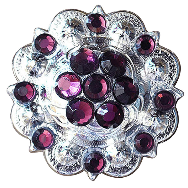Amethyst Crystal Berry Headstall Saddle Tack Cowgirl Hilason - Uhorse