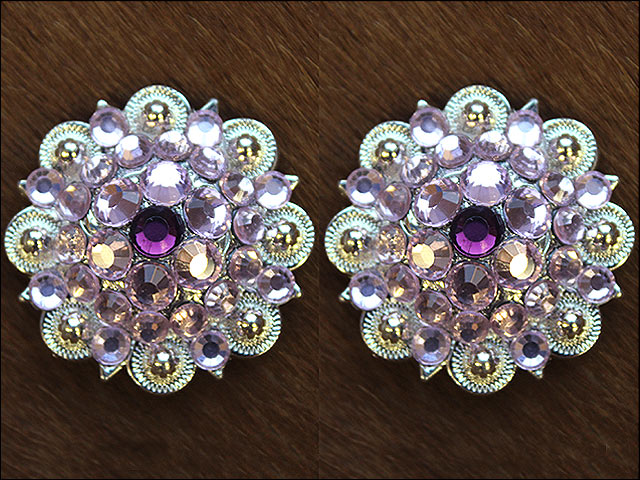HILASON Western Screw Back Concho Pink Purple Crystals Saddle Amethyst and Rose Color | Bridle Conchos Slotted