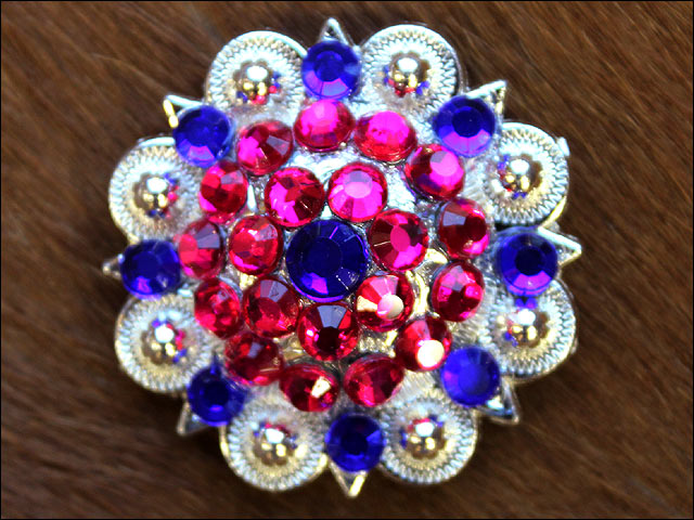 HILASON Blue Pink Crystal 1-1/4In Berry Headstall Saddle | Slotted Conchos Leather Screw Back
