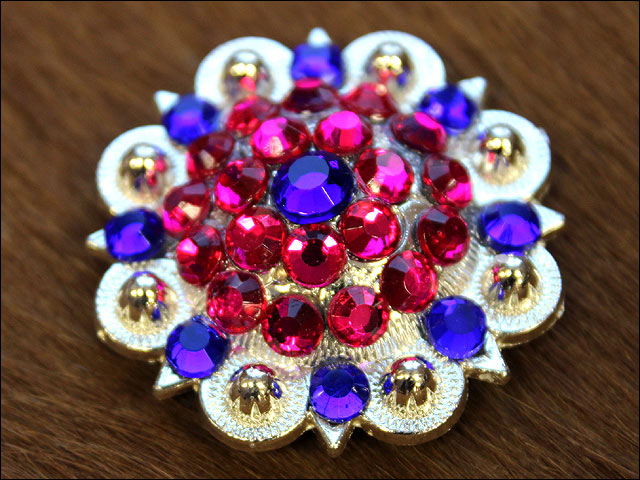 HILASON Blue Pink Crystal 1-1/4In Berry Headstall Saddle | Slotted Conchos Leather Screw Back