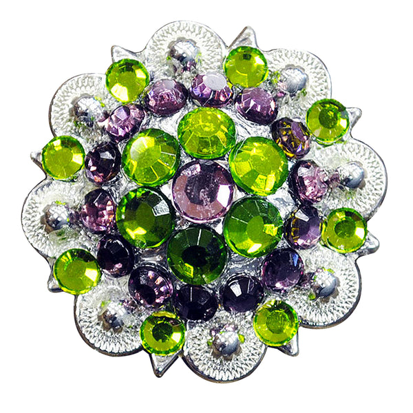 Green Purple Crystal 1-1/4In Berry Headstall Saddle Hilason - Uhorse