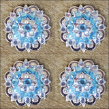 Conchos Rhinestones 15IN Tack