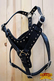 Large Leather Dog Harness Black Padded Genuine Matching Leash Hilason