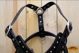 Large Leather Dog Harness Black Padded Genuine Matching Leash Hilason