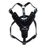 Large Leather Dog Harness Black Padded Genuine Matching Leash Hilason