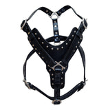 HILASON Genuine Leather Dog Harness Padded Heavy Duty & Comfortable Fit