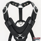 Large Leather Dog Harness Black Padded Genuine Matching Leash Hilason