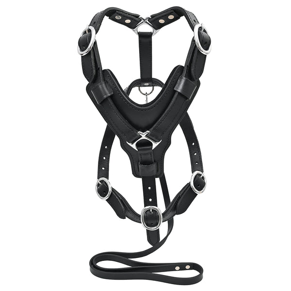 Large Leather Dog Harness Black Padded Genuine Matching Leash Hilason - Uhorse