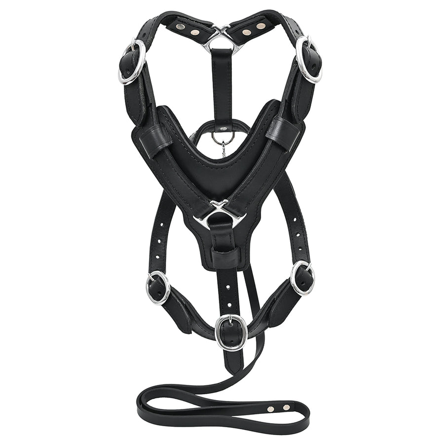 Large Leather Dog Harness Black Padded Genuine Matching Leash Hilason - Uhorse