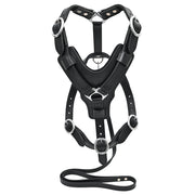 Large Leather Dog Harness Black Padded Genuine Matching Leash Hilason