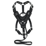 Leather Dog Harness Black Padded Genuine With Matching Leash Hilason - Uhorse