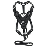 Large Leather Dog Harness Black Padded Genuine Matching Leash Hilason
