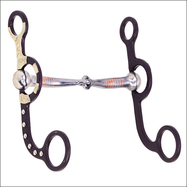 Black leather western curb bit with silver mouth piece - Uhorse