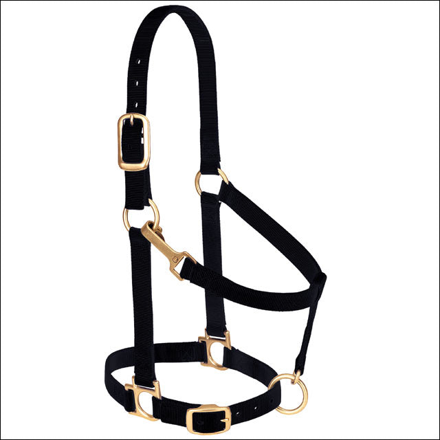 Black Nylon Basic Adjustable Chin And Throat Snap Horse Halter - Uhorse