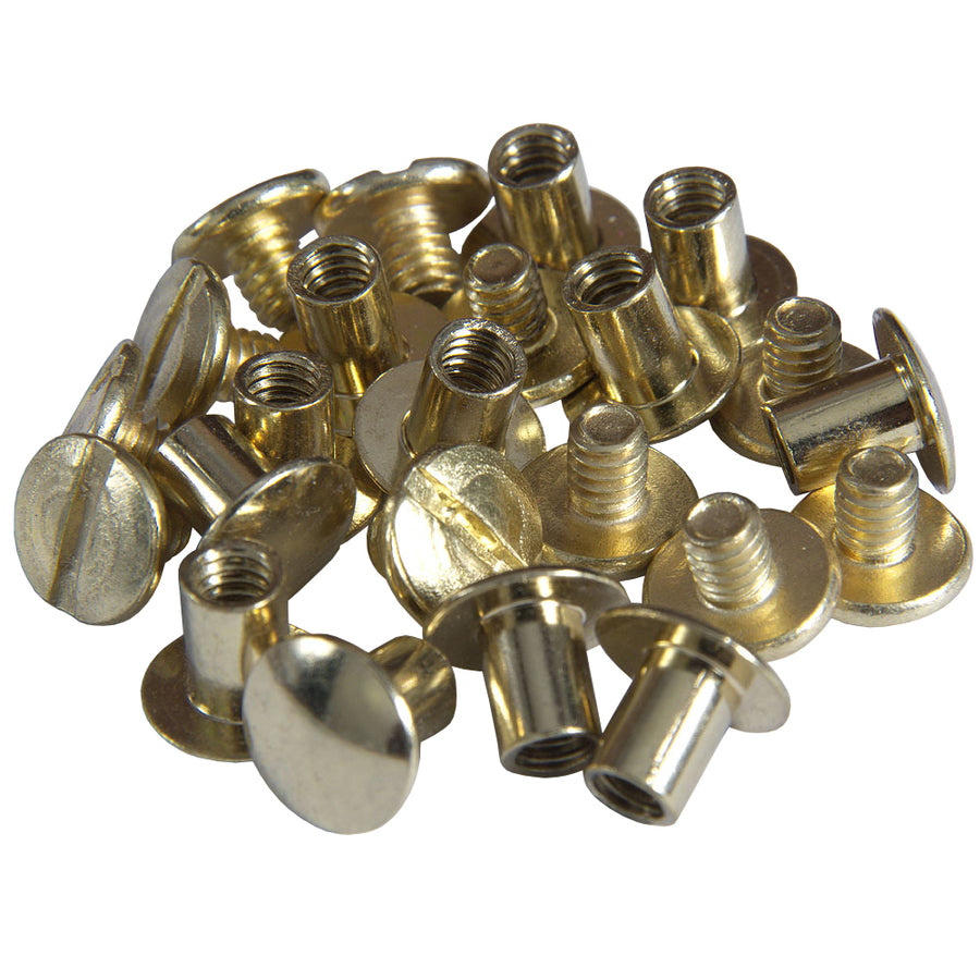 10 Pack 1/4 In. Western Horse Saddle Tack Chicago Brass Plated Screw - Uhorse
