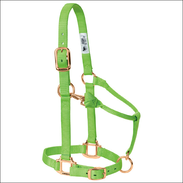Lime Zest Original Adjustable Chin Throat Snap Halter 3/4" Suckling - Uhorse