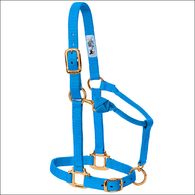 Hurricane Blue Adjustable Chin Throat Snap Halter 3/4" Weanling Pony - Uhorse