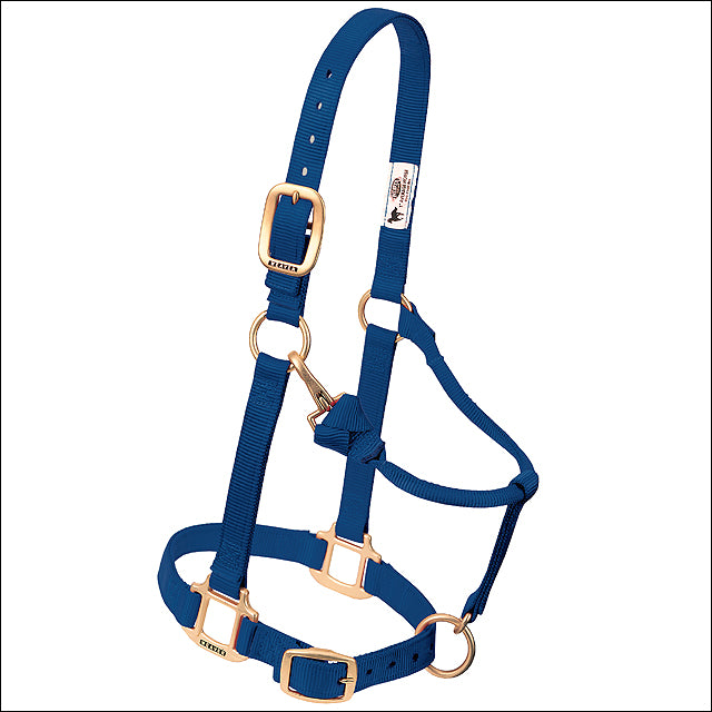 Navy Original Adjustable Chin Throat Snap Halter 3/4" Weanling Pony - Uhorse