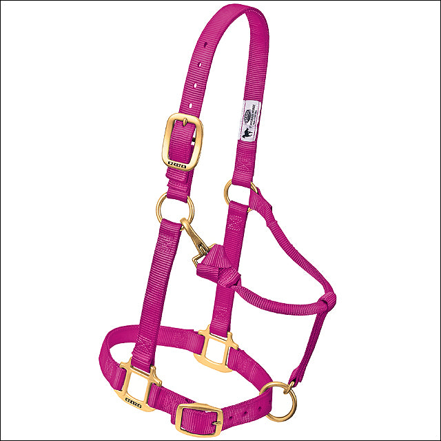 Raspberry Original Adjustable Chin Throat Snap Halter 3/4" Weanling Pony - Uhorse