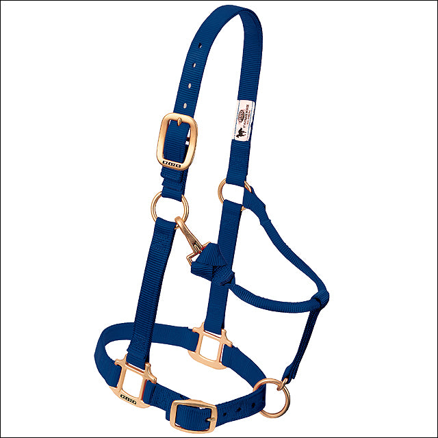 3/4 In Arabian Cob Weaver Original Chin Throat Snap H. Halter Navy – by Hilason – Cowboy and equestrian accessories