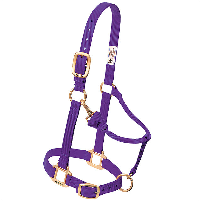 Purple Horse Nylon Halter Adjustable Chin 3/4" Arabian/Cob - Uhorse