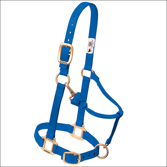 Weaver Leather Original Adjustable Nylon H. Halter, Blue, 1" Yearling by Hilason – Cowboy and equestrian accessories