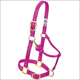 Raspberry Weaver Western Tack Adjustable Horse Halter 1