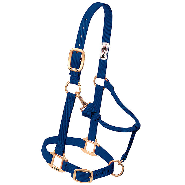 Navy Green Horse Nylon Heat Sealed Buckle Halter Adjustable Small - Uhorse